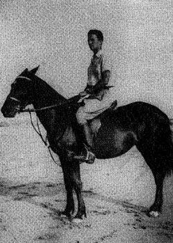 La foto ritrae Ludovico Ticchioni a cavallo.