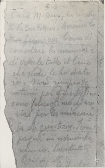 L’immagine riproduce la fotografia della lettera di Goffredo Villa alla sorella Milena, scritta il giorno della sua prima condanna a morte, annullata poi dall’amnistia. Il documento originale è scritto su un foglietto di carta con il bordo laterale strappato; sul retro è riportato l’indirizzo della destinataria (Villa Milena, appunto).