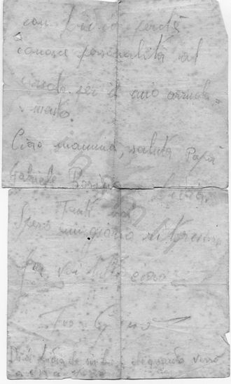 L’immagine riproduce la seconda facciata di una delle ultime due lettere scritte da Luigi Parussa alla madre.