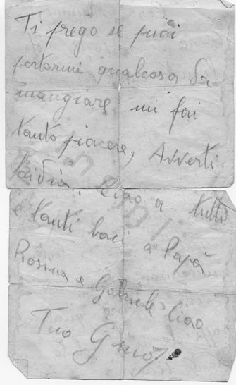 L’immagine riproduce la seconda facciata di una delle due ultime lettere scritte da Luigi Parussa alla madre.